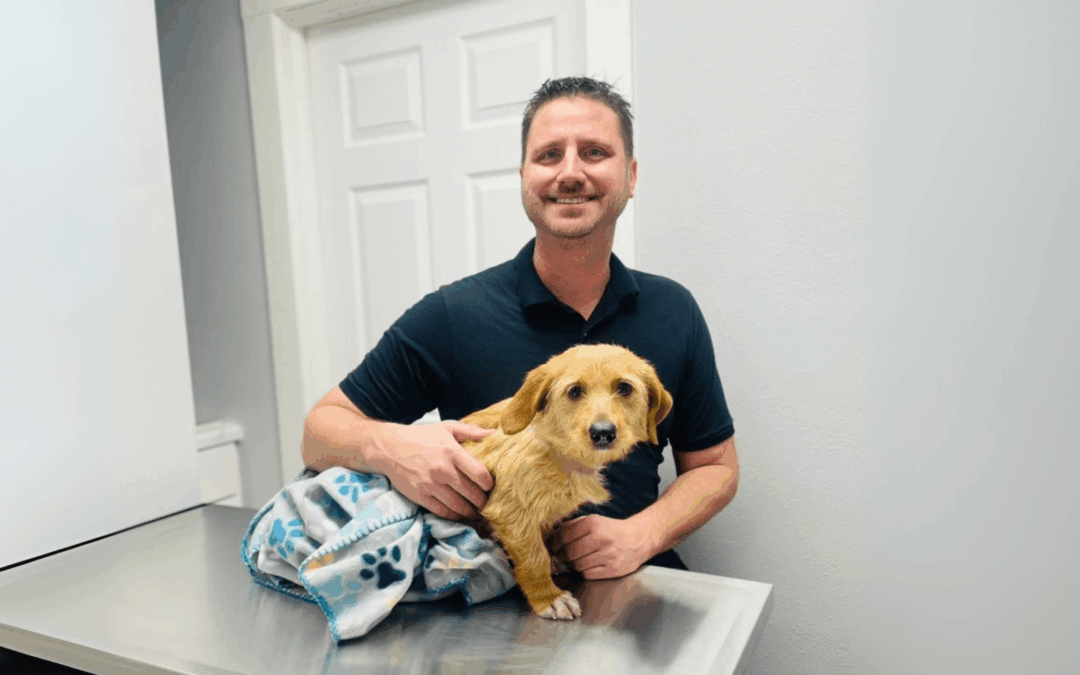 A Veterinarian’s Journey to Adopting AlphaFlo® in Clinical Practice