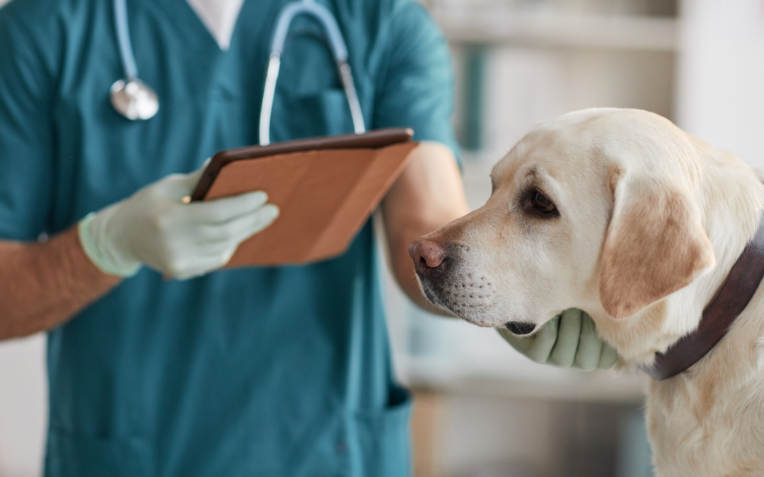 What VEGF and EGF Have to Do With AlphaFlo®