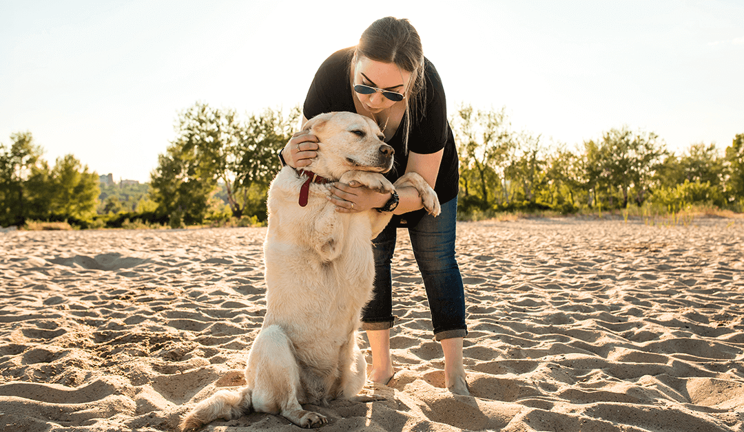 Clinical Case: Bilateral Supraspinatus Tenosynovitis With Calcification and Functional Improvement at One and Three Months