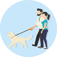 Dog Owners Looking for Regenerative Therapy for Dog